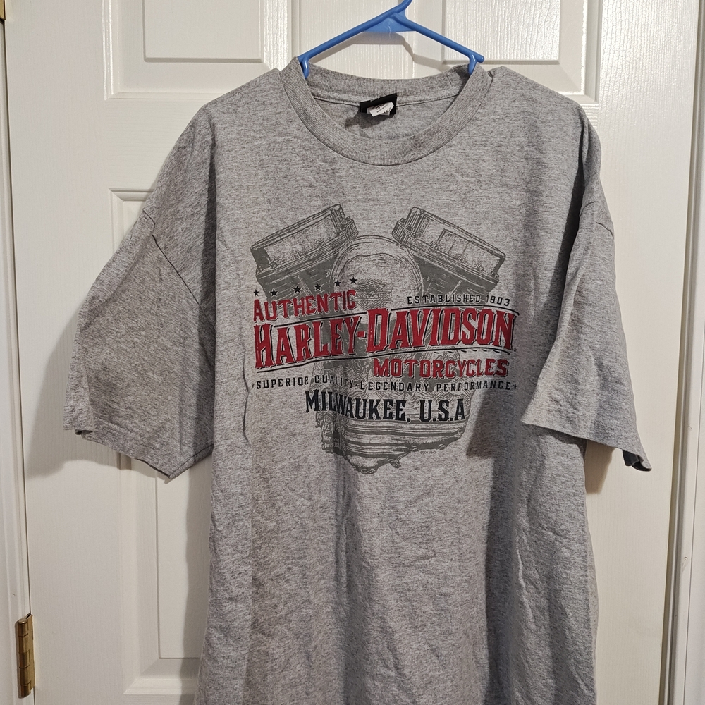 Harley-Davidson Gray Graphic T-Shirt